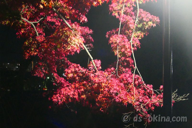 20201115_182948.jpg