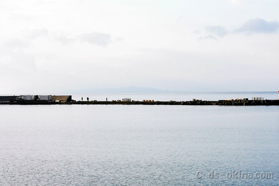 20201127_152856.jpg