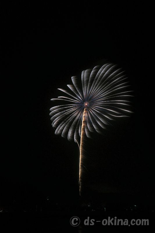 20210321_190534.jpg