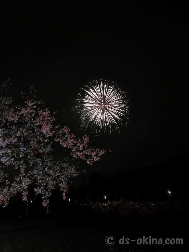 20220403_190538.jpg