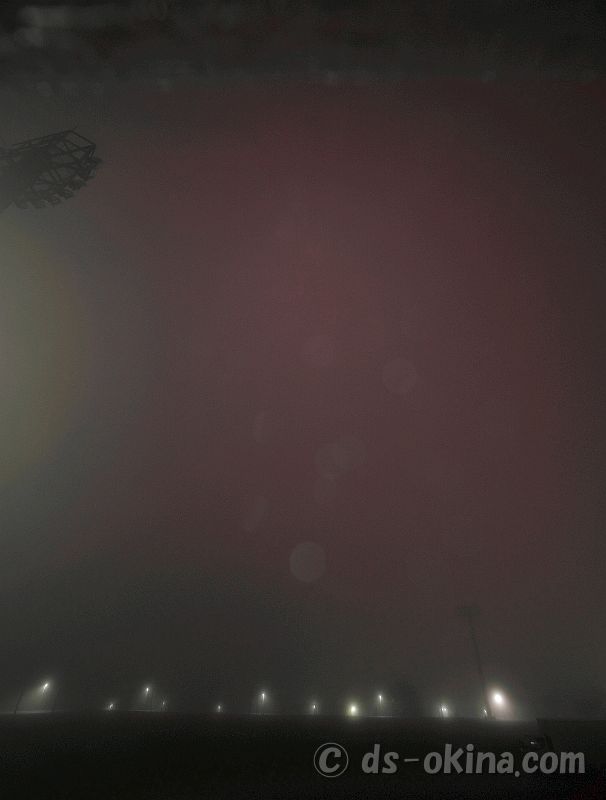 20220415_191158.jpg