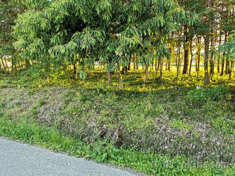 20220528_181520.jpg