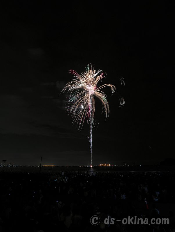 20221016_175854.jpg