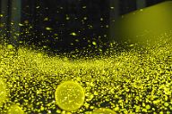 250702_2328-2619a7m3100