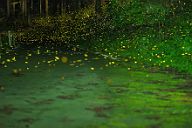 250718_2331-2538A7S85