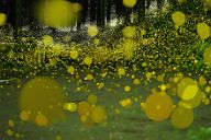 250719_2230-2542A7S85