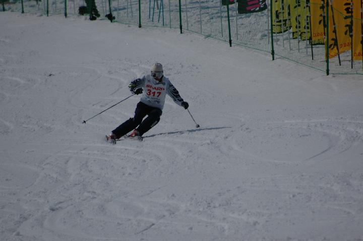 080313_131234_1.jpg
