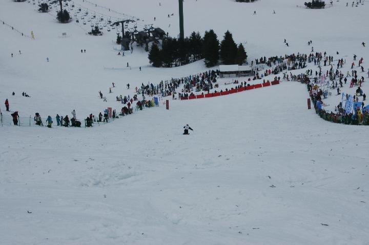 080314_110044_0.jpg