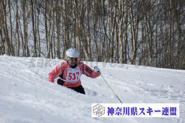 100131_110049_0.jpg