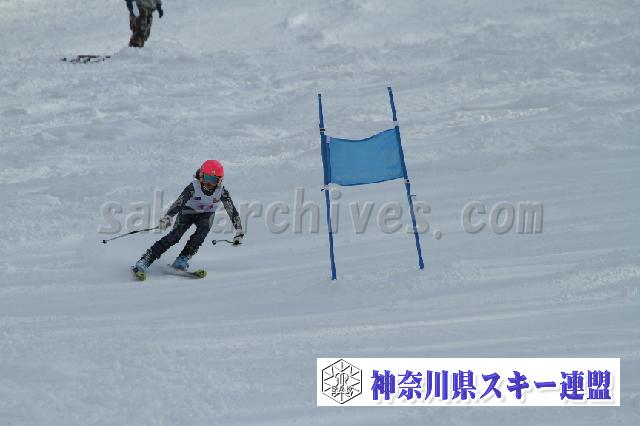 110115_122237_3.jpg
