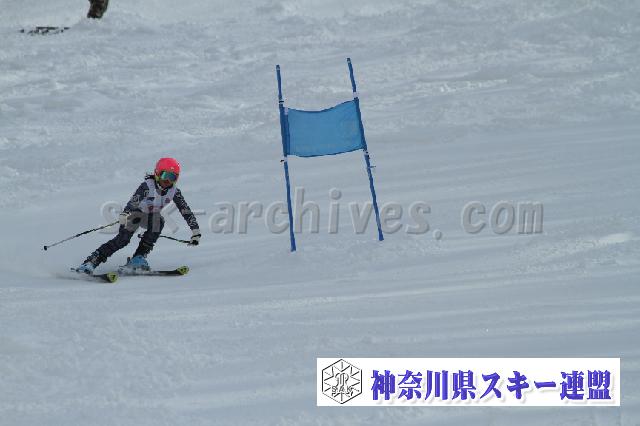 110115_122237_6.jpg
