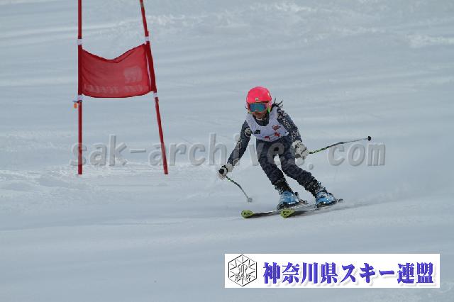 110115_122240_3.jpg