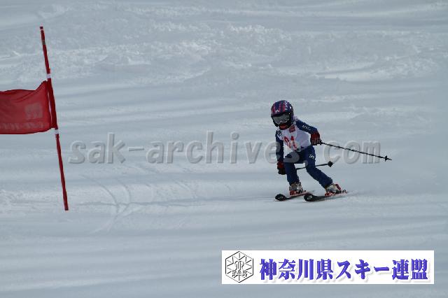 110115_122627_2.jpg