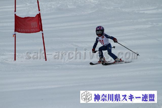 110115_122627_4.jpg