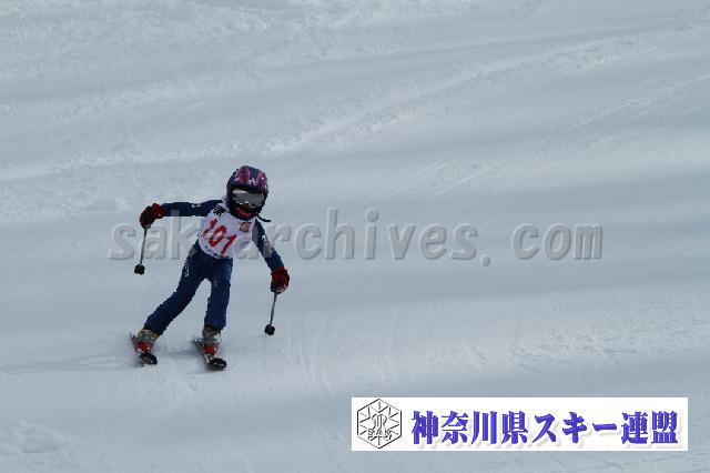 110115_122629_6.jpg