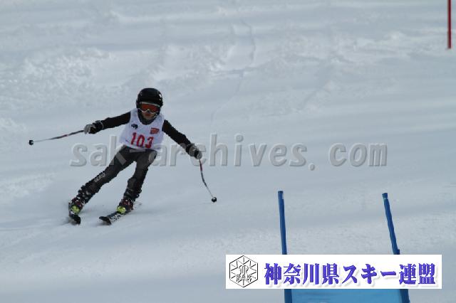 110115_122643_7.jpg