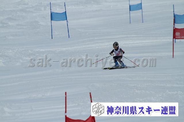 110115_122738_3.jpg