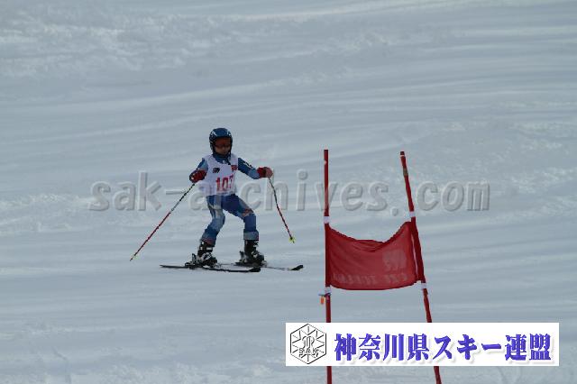 110115_122843_6.jpg