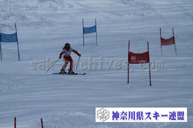 110115_125044_4.jpg