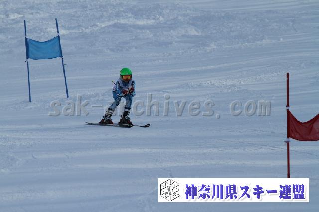 110115_130450_3.jpg