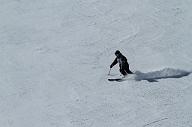20110305_103813_4