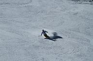 20110305_130116_4