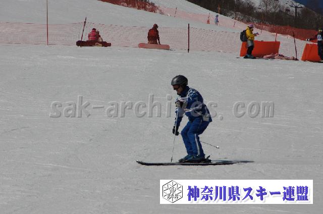 20110305_110011_0.jpg