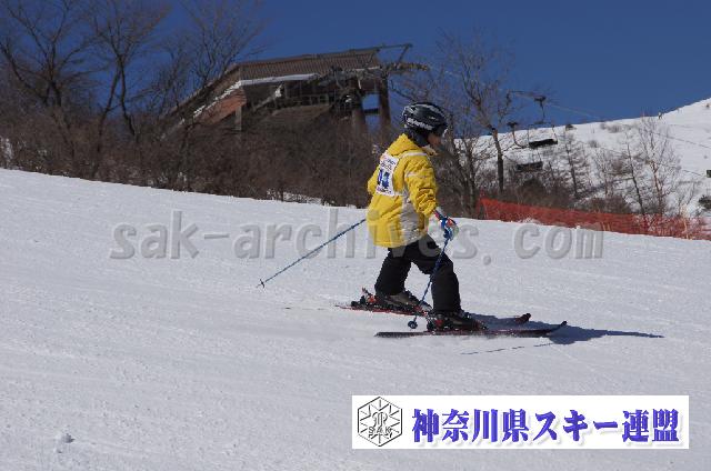 20110305_113551_0.jpg