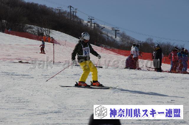 20110305_143344_1.jpg