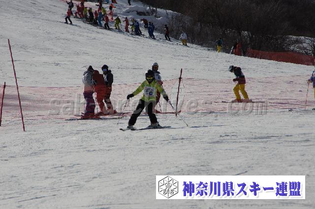 20110305_143835_1.jpg