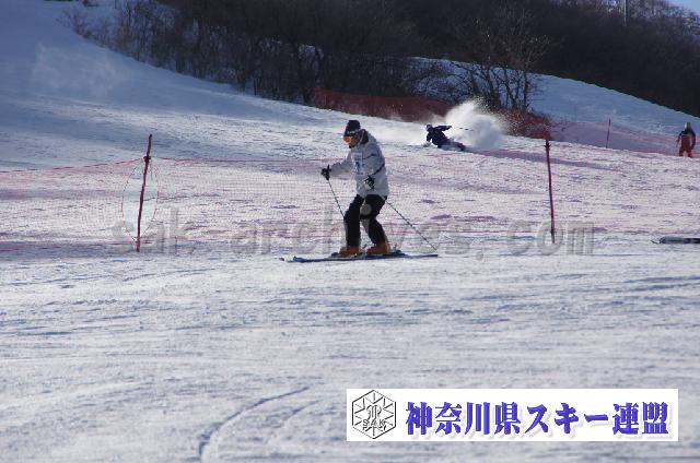 20110305_151947_2.jpg