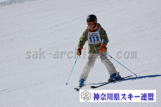 20110305_105215_0.jpg