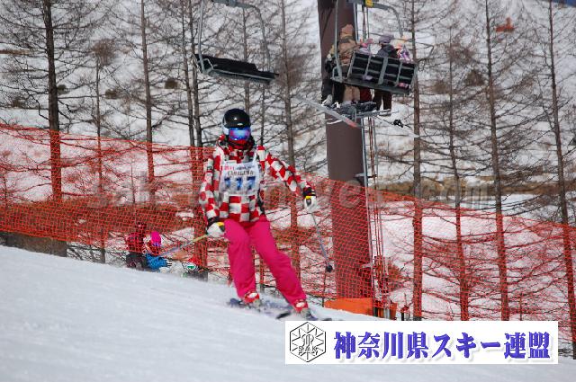 20110305_111940_1.jpg