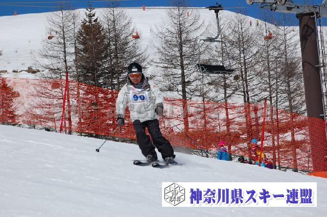 20110305_112112_0.jpg