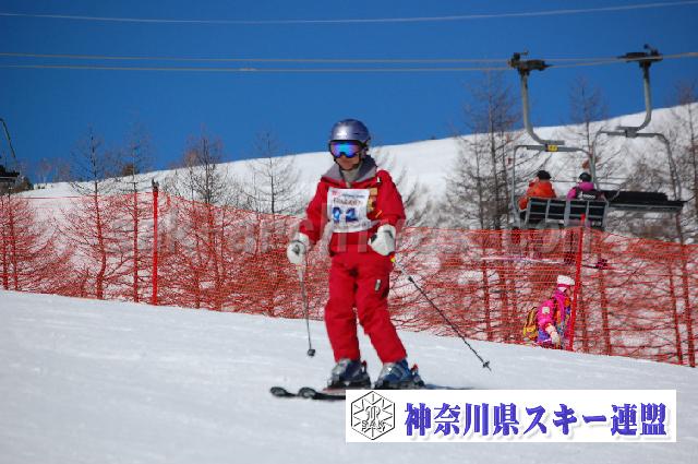 20110305_112215_0.jpg
