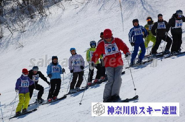 20110305_114750_0.jpg