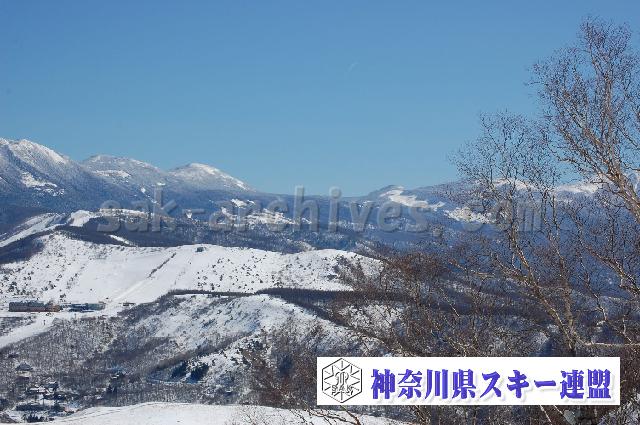 20110305_120025_0.jpg