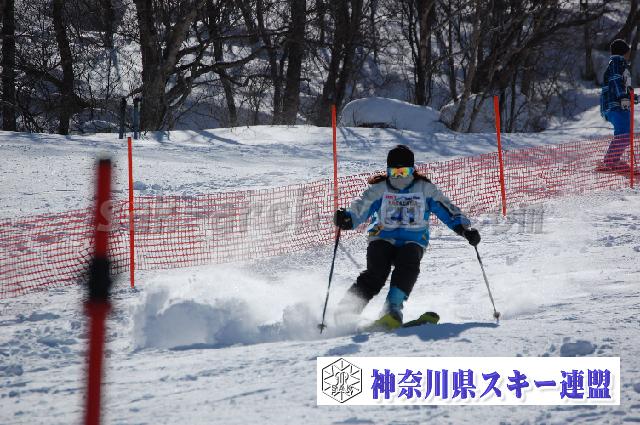 20110305_133223_1.jpg