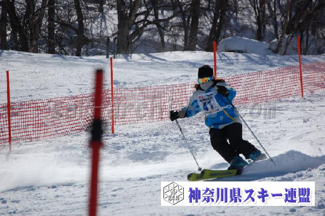 20110305_133224_0.jpg