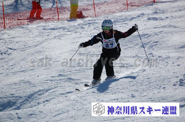 20110305_134508_0.jpg