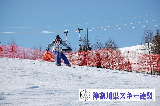 20110305_154607_0.jpg