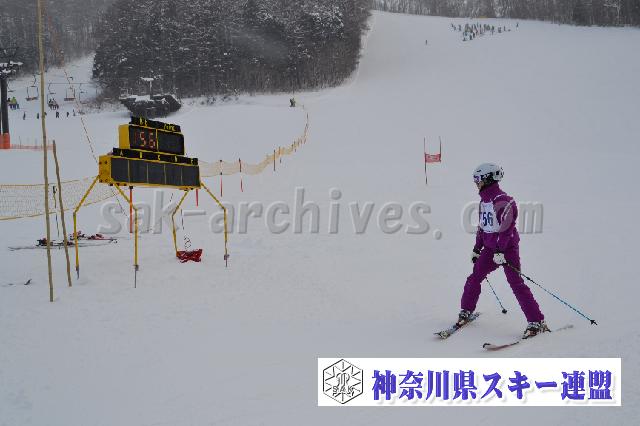 120128_161132_0.jpg