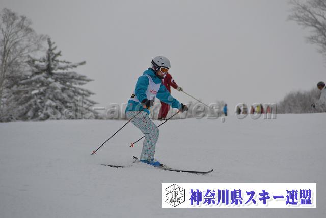 131214_111620_m.jpg