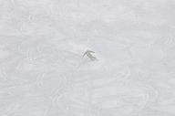 140126_114746_2