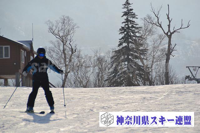151210_103316_0.jpg