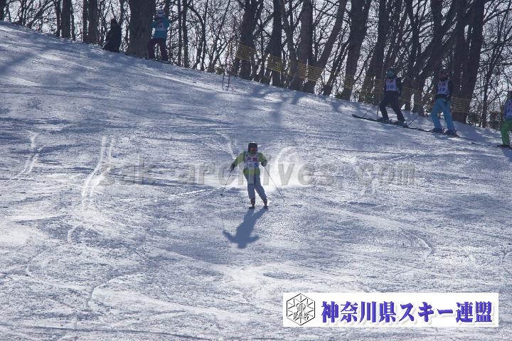 20170128_105831_0.jpg