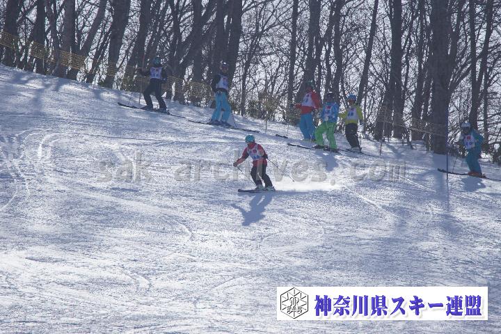 20170128_105902_0.jpg