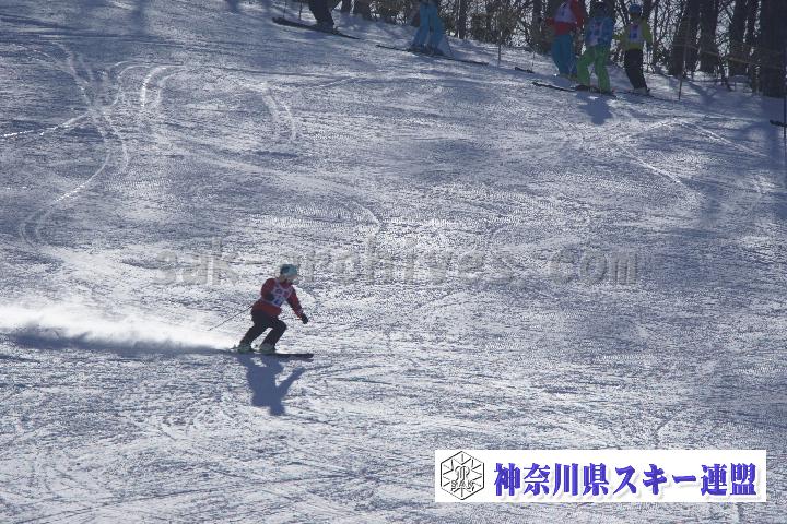 20170128_105905_2.jpg