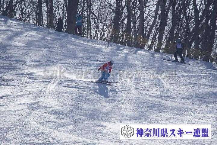 20170128_105935_1.jpg