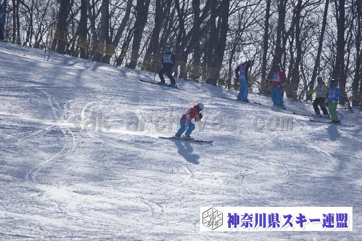 20170128_105936_1.jpg